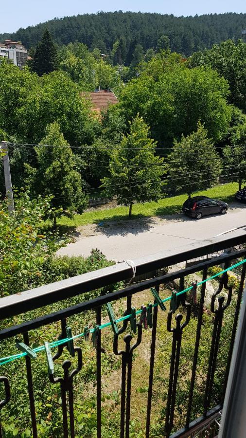 Apartmani V&F Vrnjacka Banja Bagian luar foto