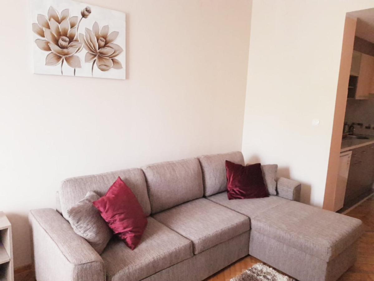 Apartmani V&F Vrnjacka Banja Bagian luar foto