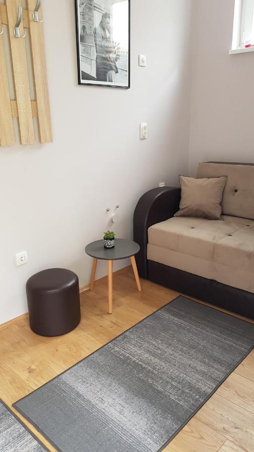 Apartmani V&F Vrnjacka Banja Bagian luar foto