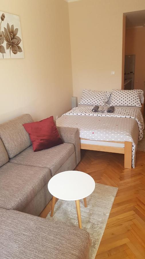 Apartmani V&F Vrnjacka Banja Bagian luar foto