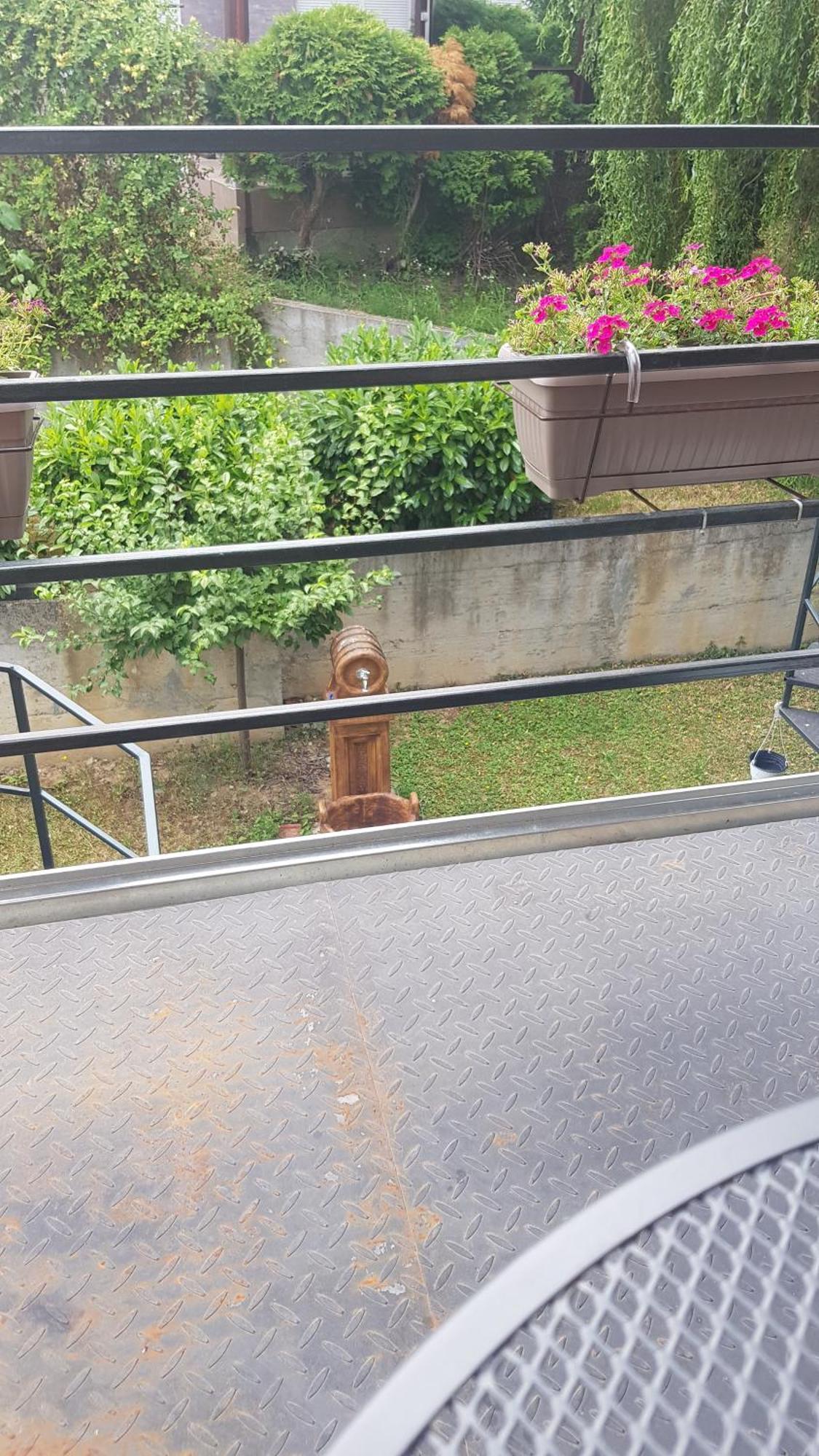Apartmani V&F Vrnjacka Banja Ruang foto