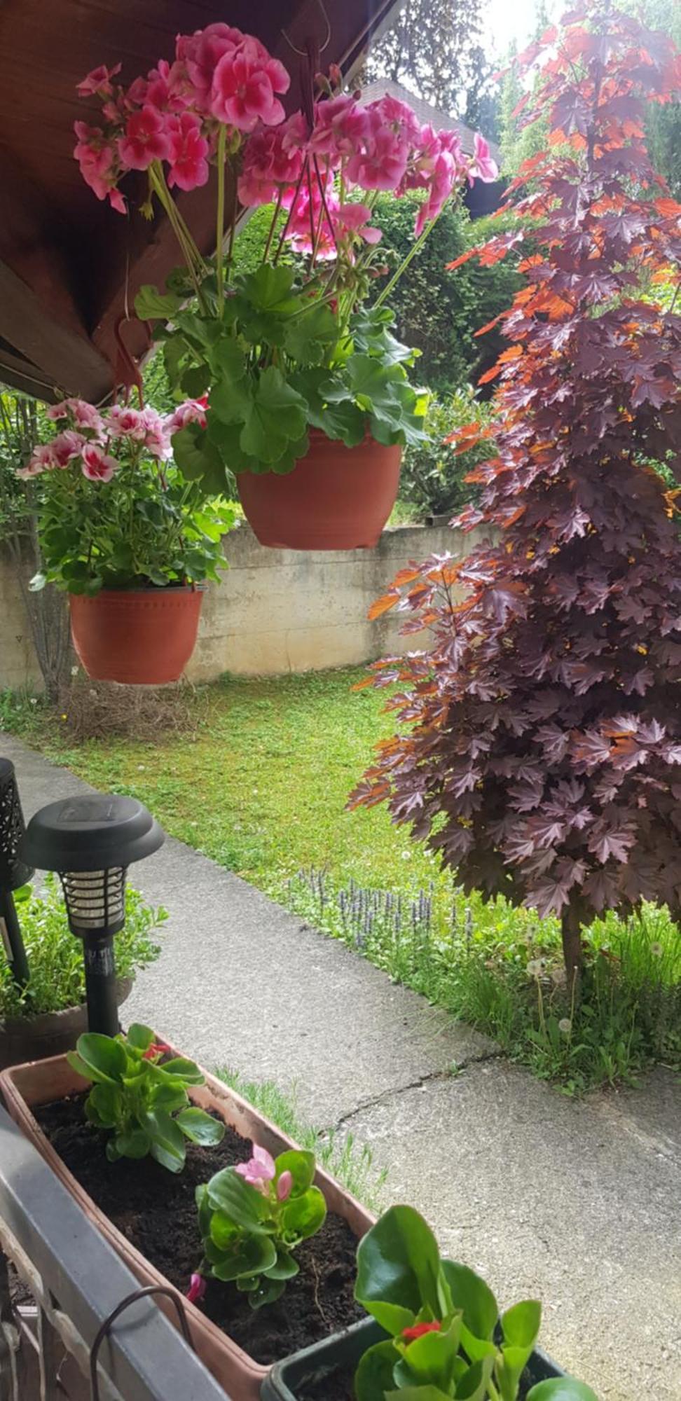 Apartmani V&F Vrnjacka Banja Bagian luar foto