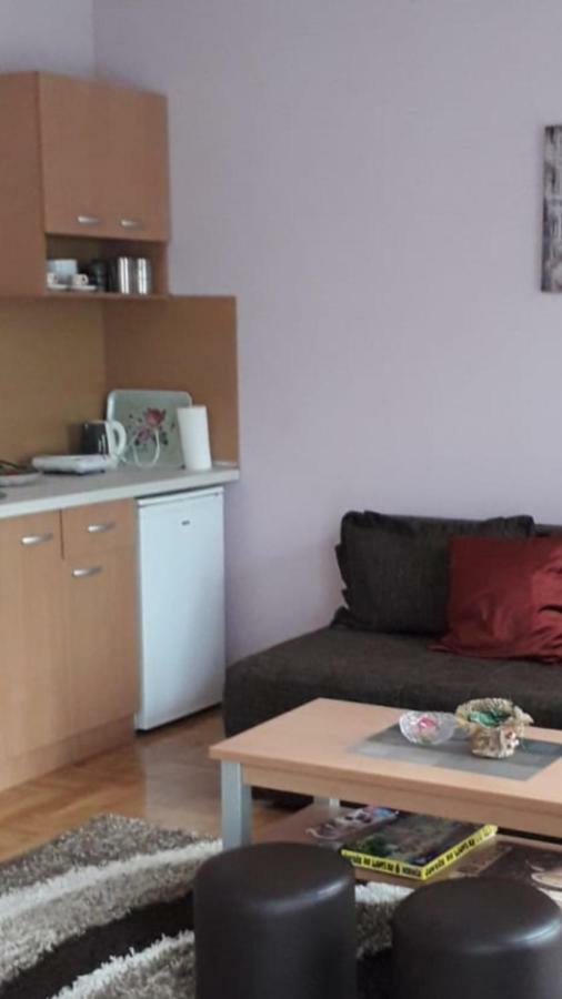 Apartmani V&F Vrnjacka Banja Bagian luar foto