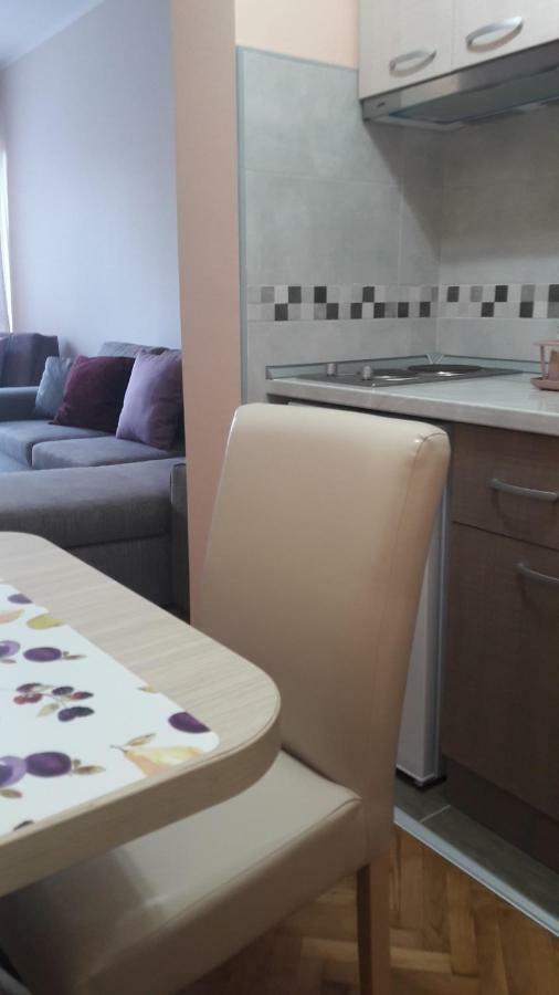 Apartmani V&F Vrnjacka Banja Bagian luar foto