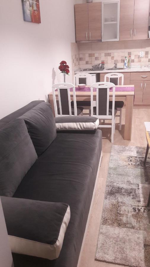 Apartmani V&F Vrnjacka Banja Bagian luar foto